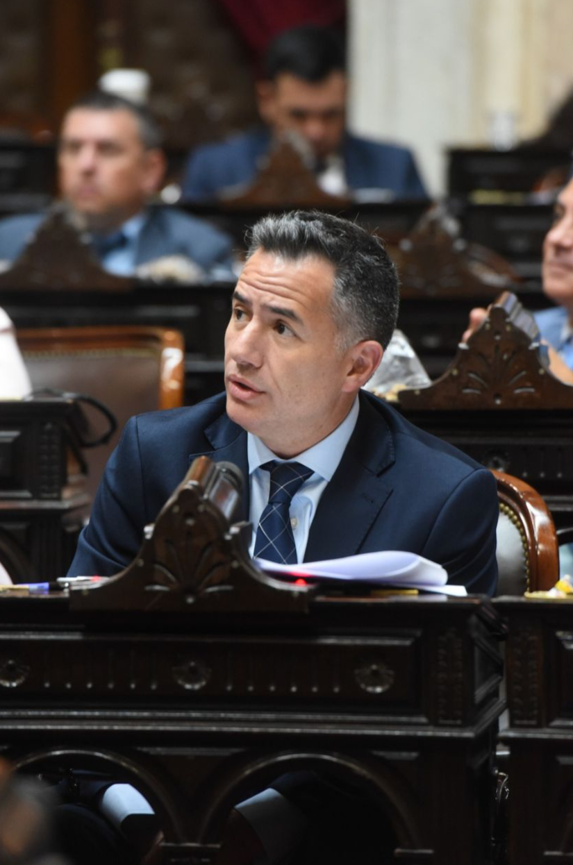 Bornoroni también abordó su trabajo legislativo en la Cámara Baja.