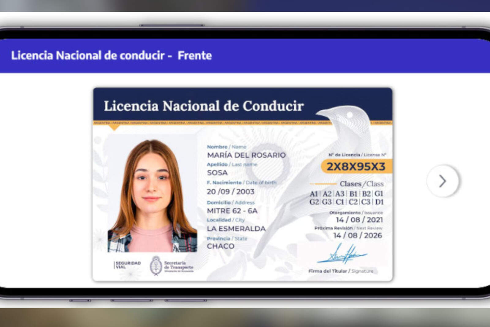 En materia de documentación se confirmó que la aplicación Mi Argentina es válida para presentar el DNI y la licencia de conducir digital.