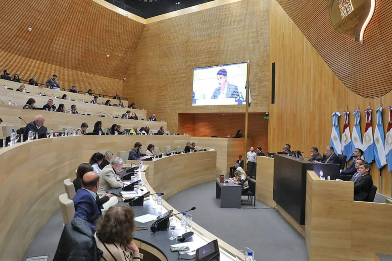 La decisión legislativa implica aprobar únicamente los artículos que reúnen consenso político dejando fuera las figuras de mayor conflicto hoy. 