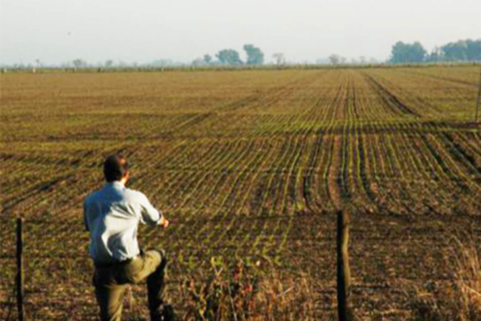 La confianza del campo en el Gobierno está en el punto más alto en cinco años, según la Universidad Austral