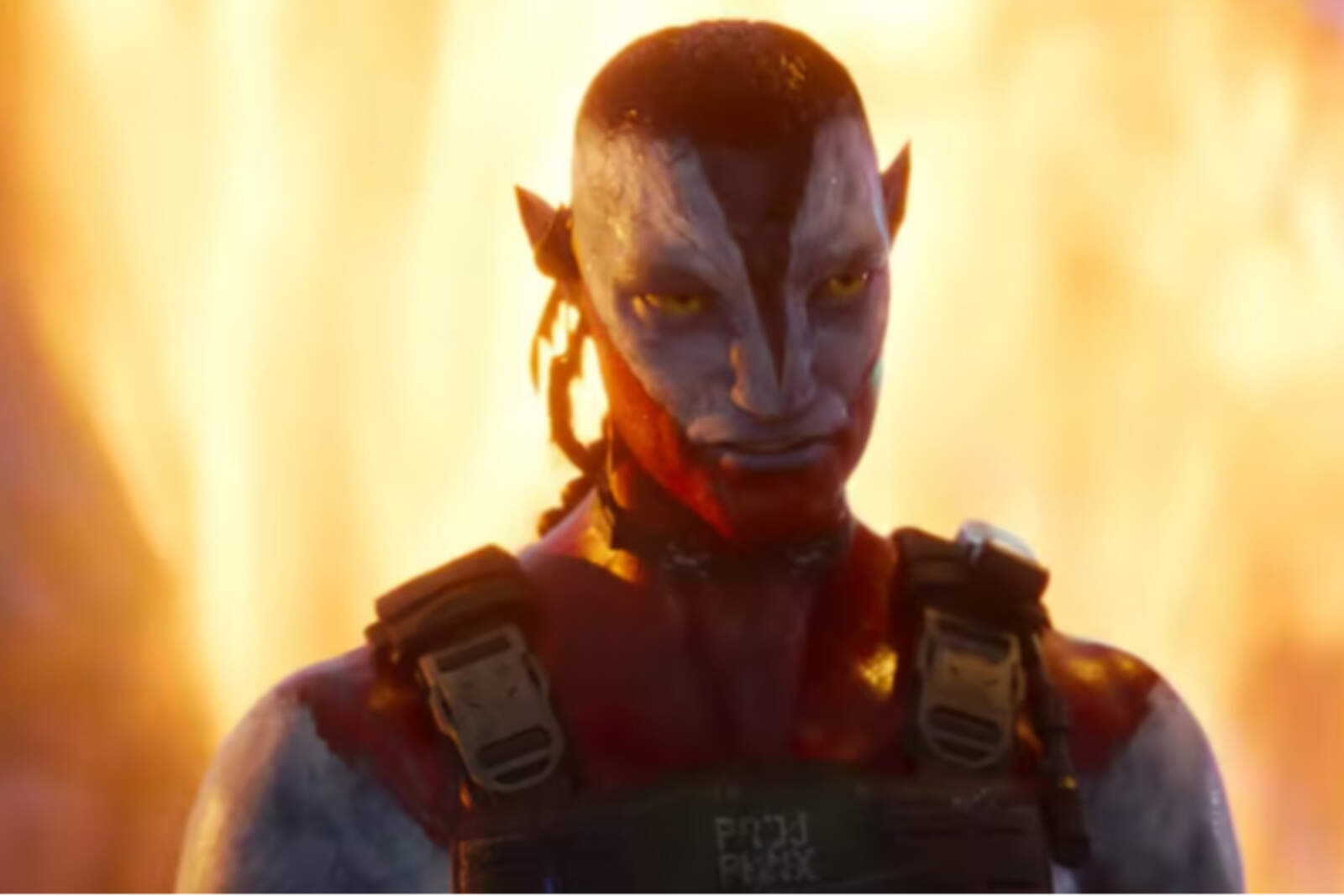 James Cameron aseguró que el futuro de Avatar depende del éxito de Avatar: Fuego y Cenizas