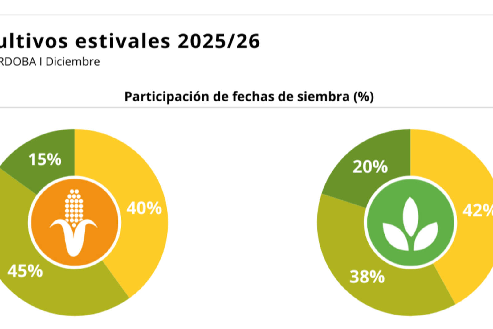 Fuerte avance en la siembra de soja, maíz y girasol en Córdoba.