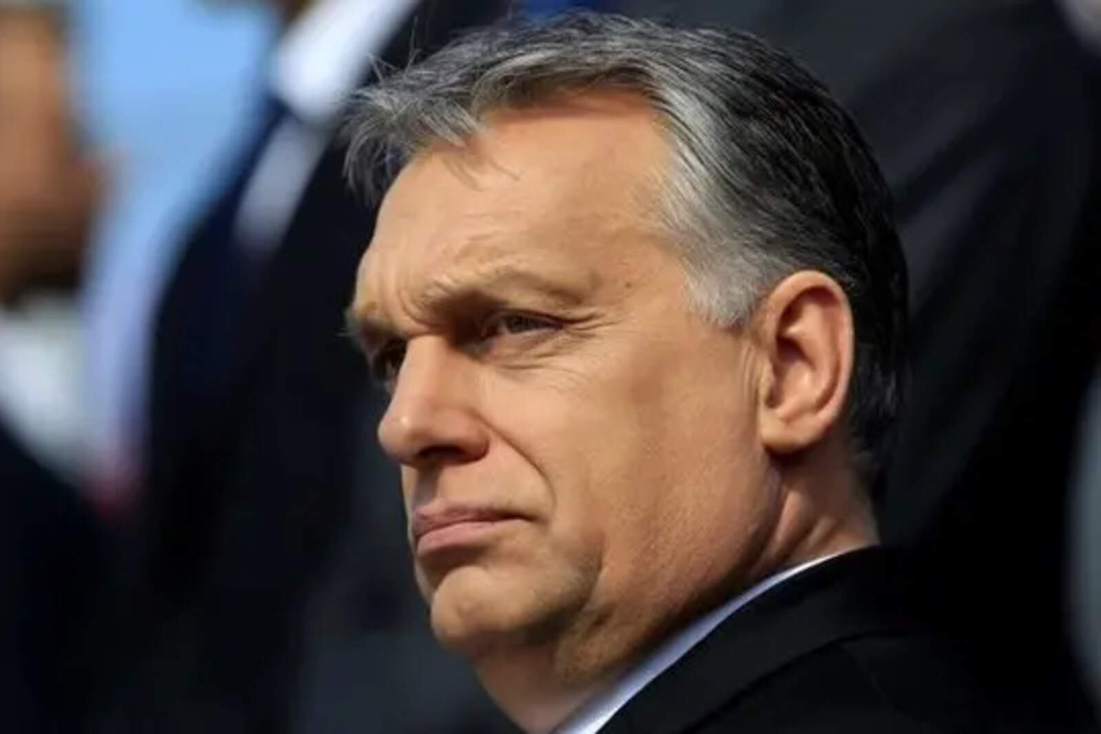 AFD ha tomado a Hungría como modelo a seguir