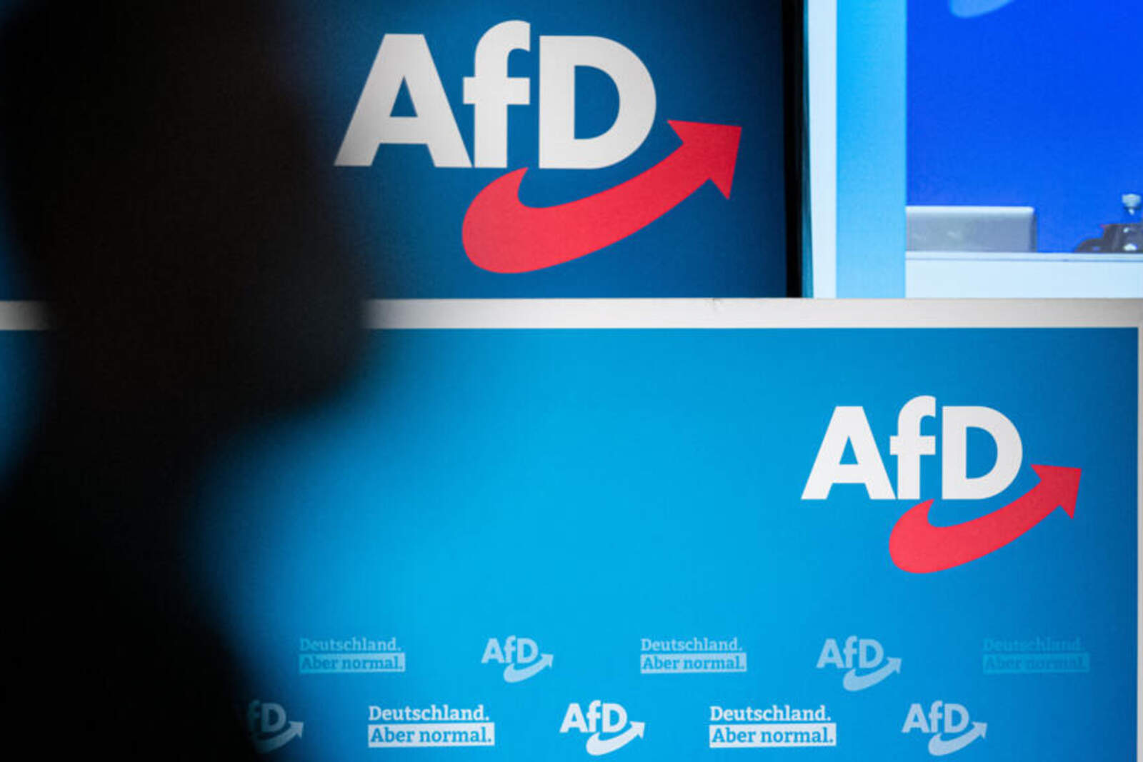 AFD ha sido durante años una fuerza asimétrica al establecimiento liberal contemporáneo 