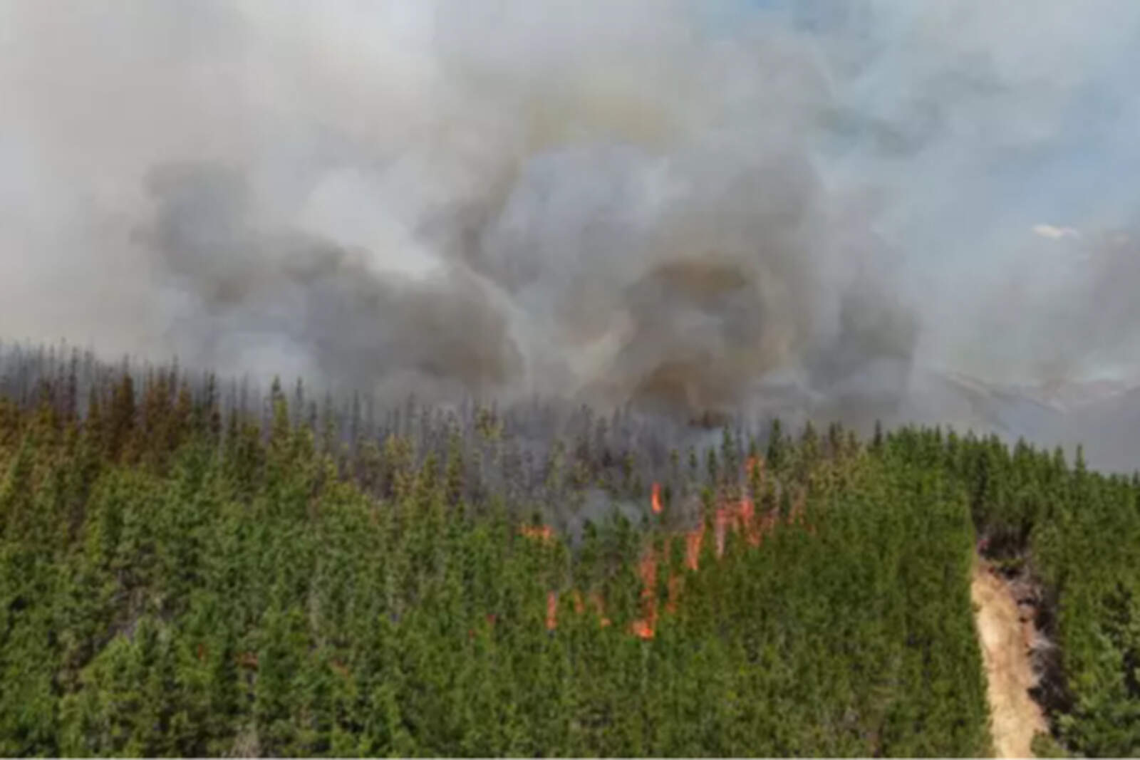 Regionales Incendio en Puerto Patriada