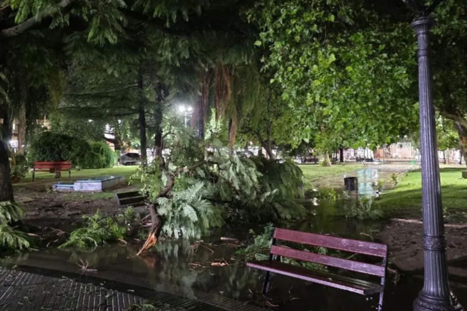 Defensa Civil reportó la caída de árboles y postes de luz además de voladuras de techos en viviendas particulares y comercios de la zona sur.