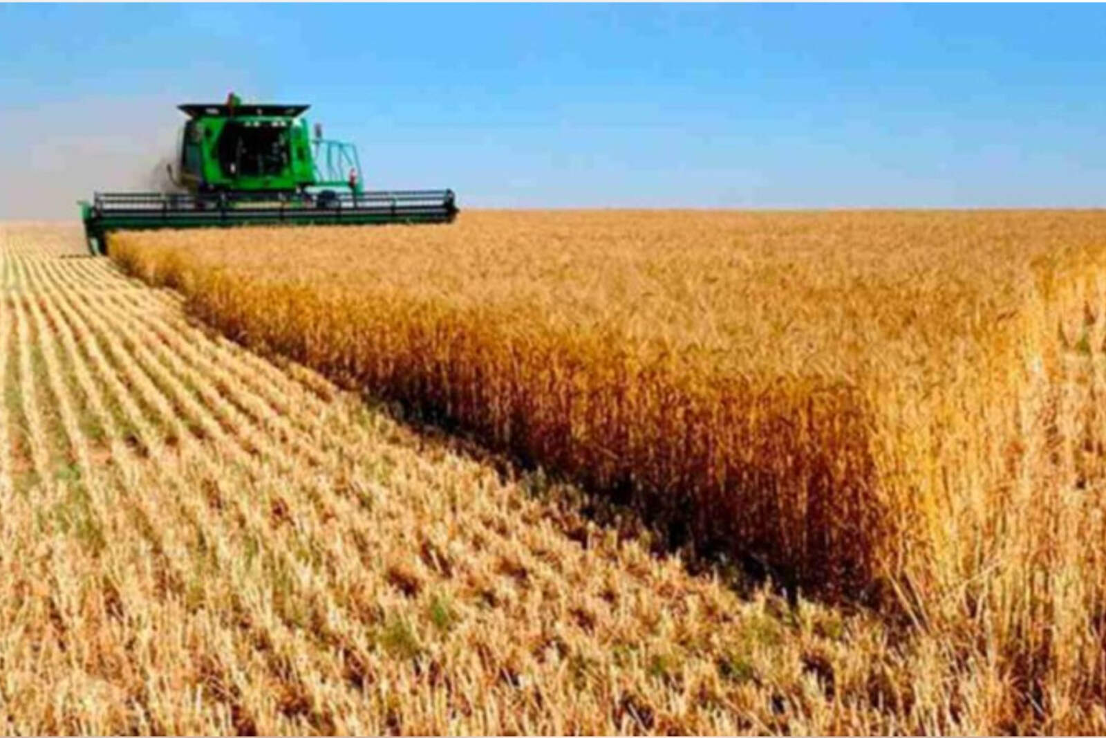  La zona núcleo bajo riego en Río Cuarto y Arroyito exhibió el máximo potencial 