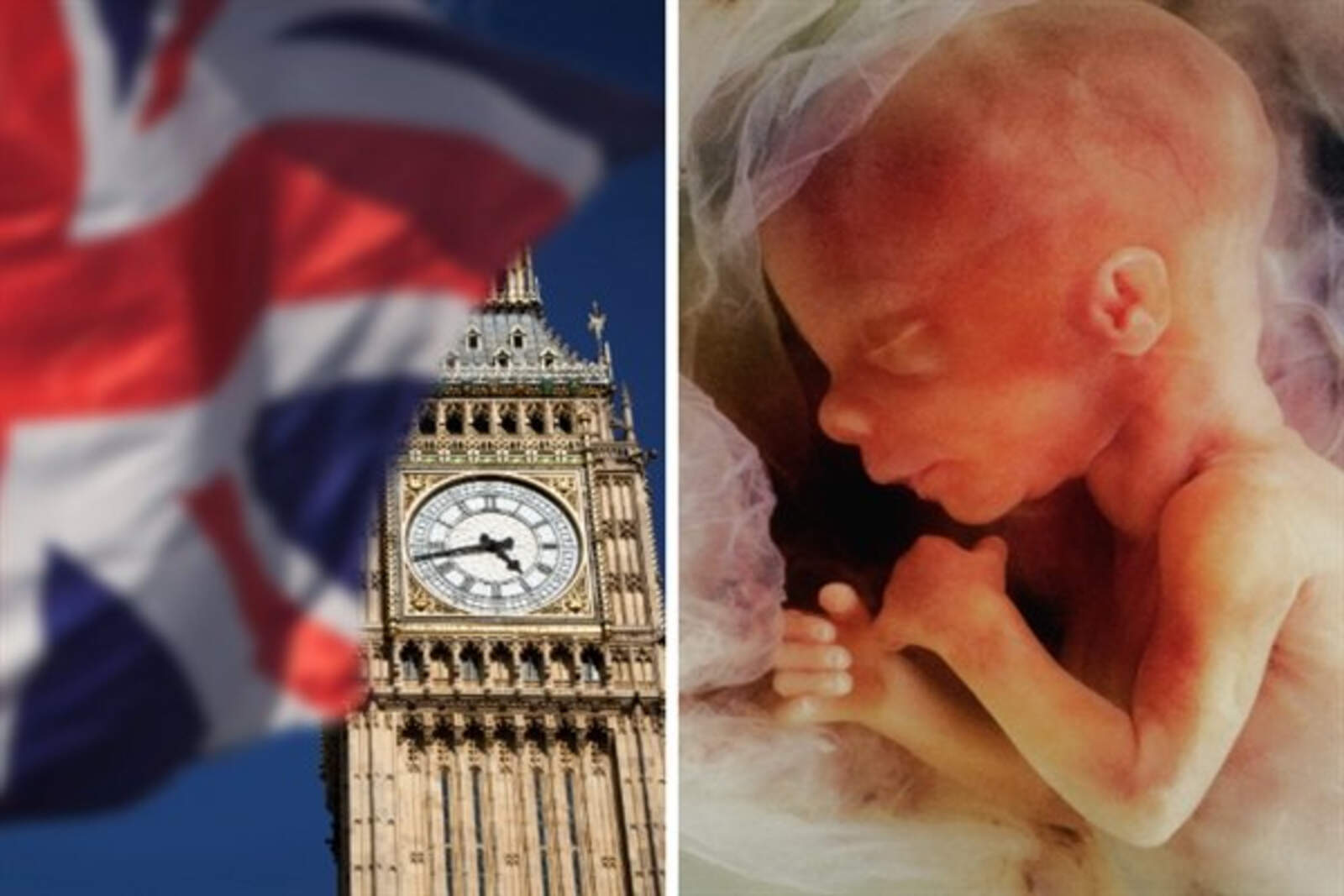 Inglaterra y Gales registraron un récord de abortos y la población blanca disminuye de forma preocupante