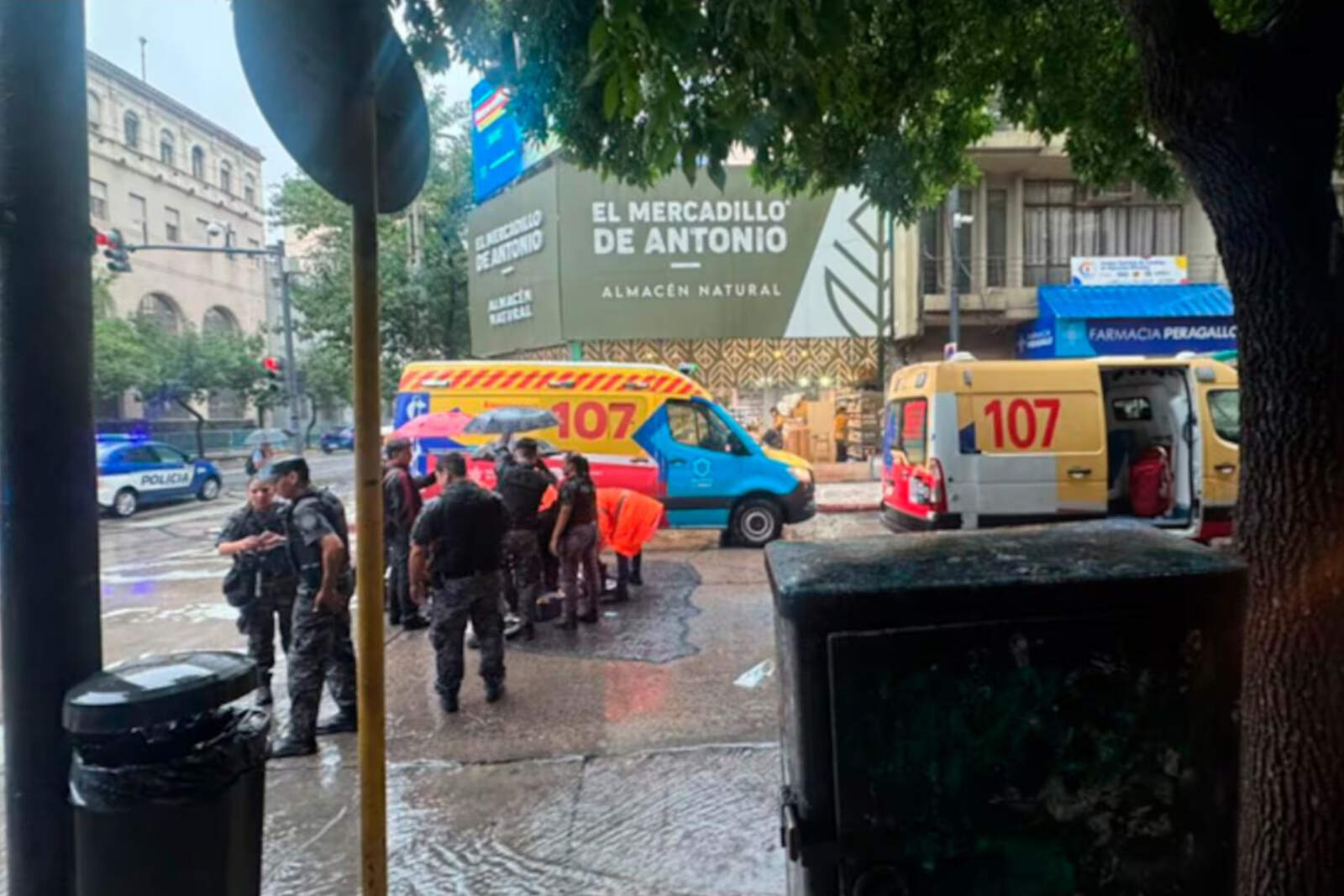 Los testigos presenciales aseguraron a la policía que la víctima cruzaba correctamente por la senda peatonal