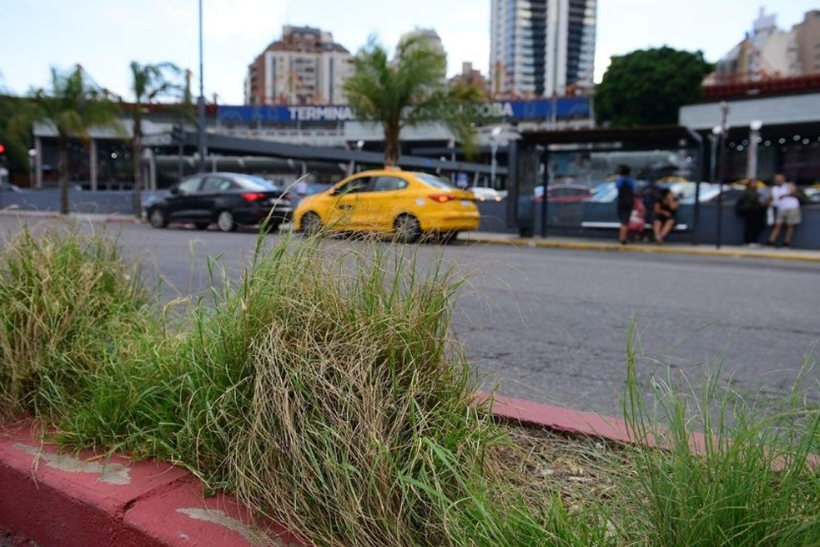 Los hoteleros de la zona advirtieron que la acumulación de malezas y la inseguridad atentan contra la rentabilidad del turismo en la ciudad. 
