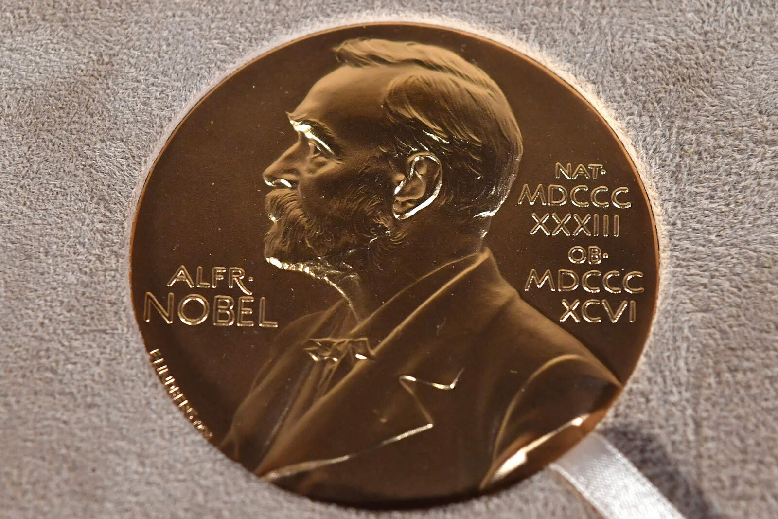 Que sigan llorando: la Fundación Nobel se quejó de que Corina Machado entregara su premio a Trump
