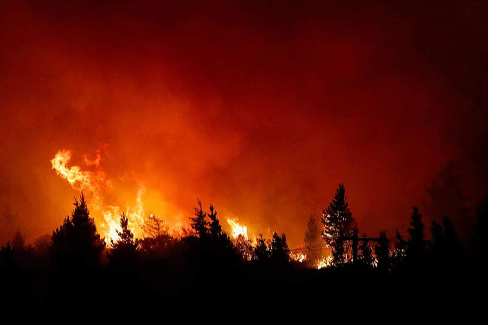 Regionales Incendio en Puerto Patriada