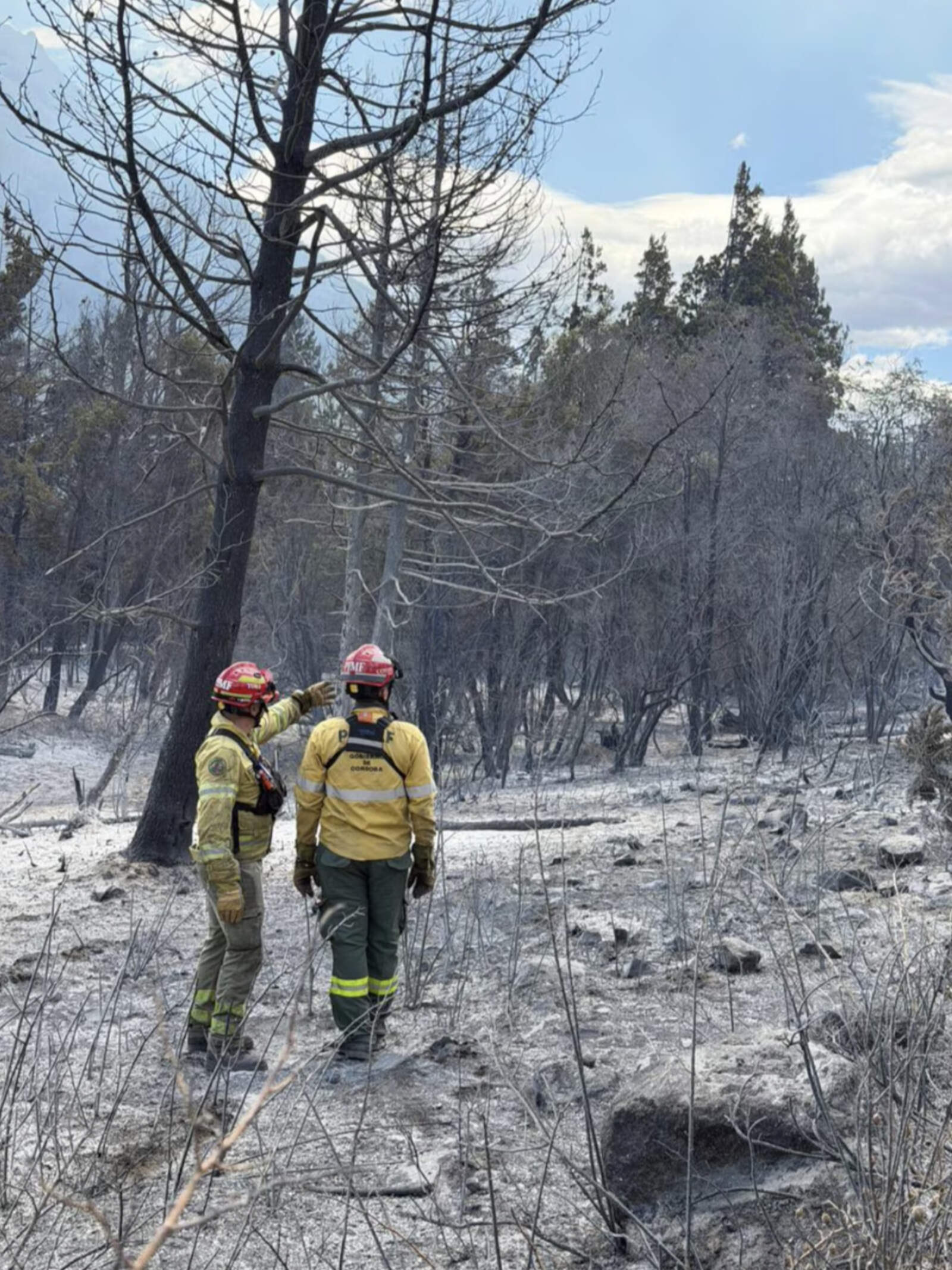 Tras el paso de las llamas, brigadistas evalúan el terreno afectado