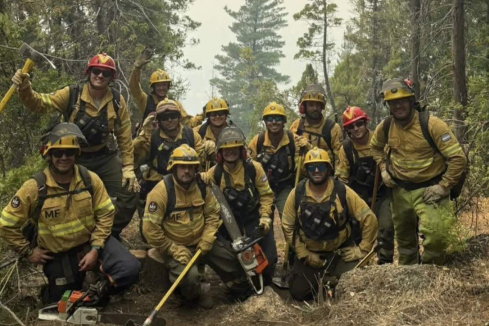 La delegación está integrada por personal de diversas fuerzas de seguridad.