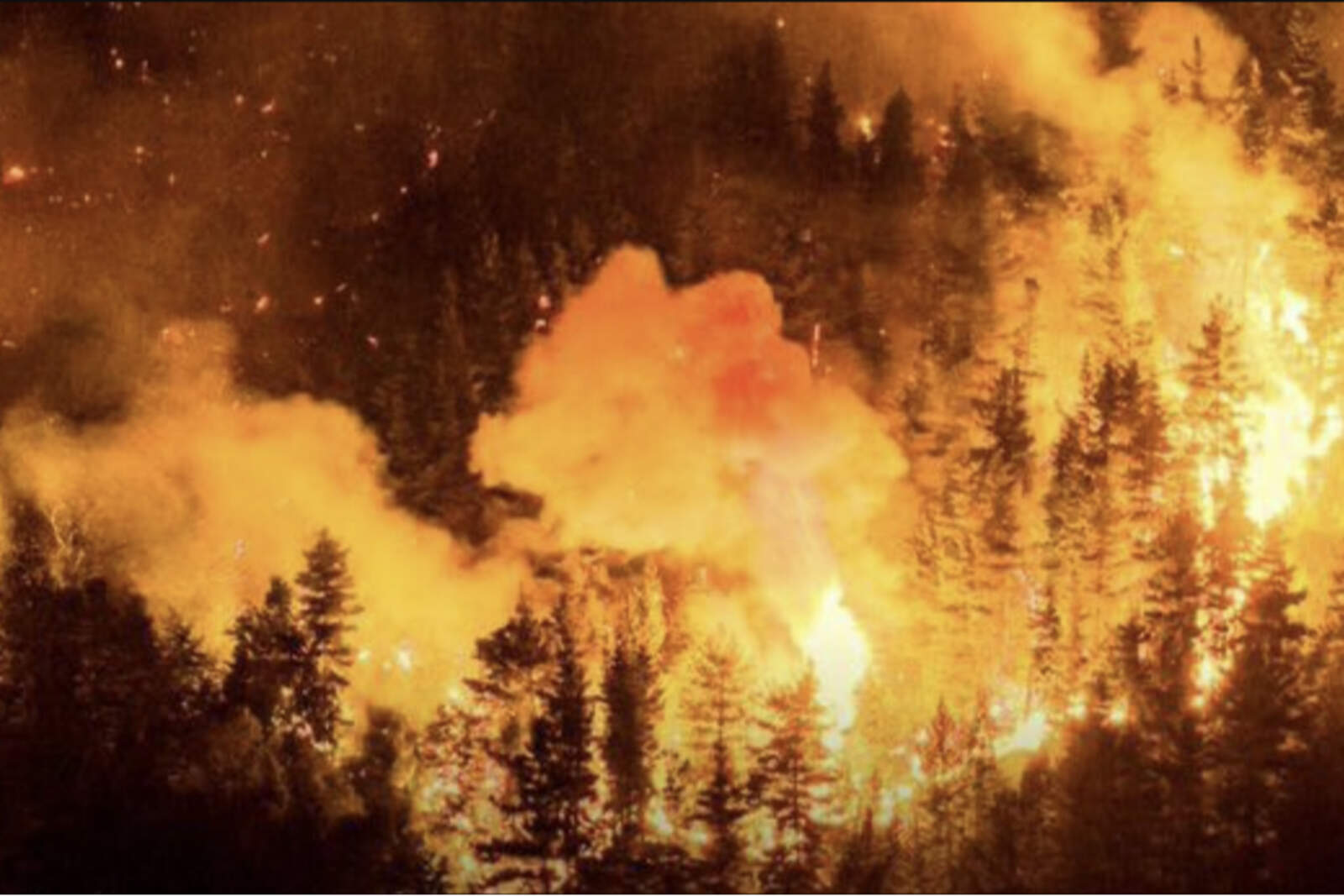 Imagen aérea del incendio forestal que afectó la región patagónica.