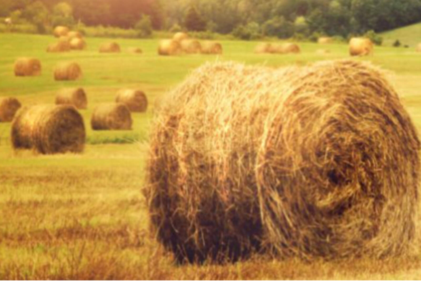 La iniciativa busca integrar a contratistas, asesores técnicos y estudiantes de carreras afines