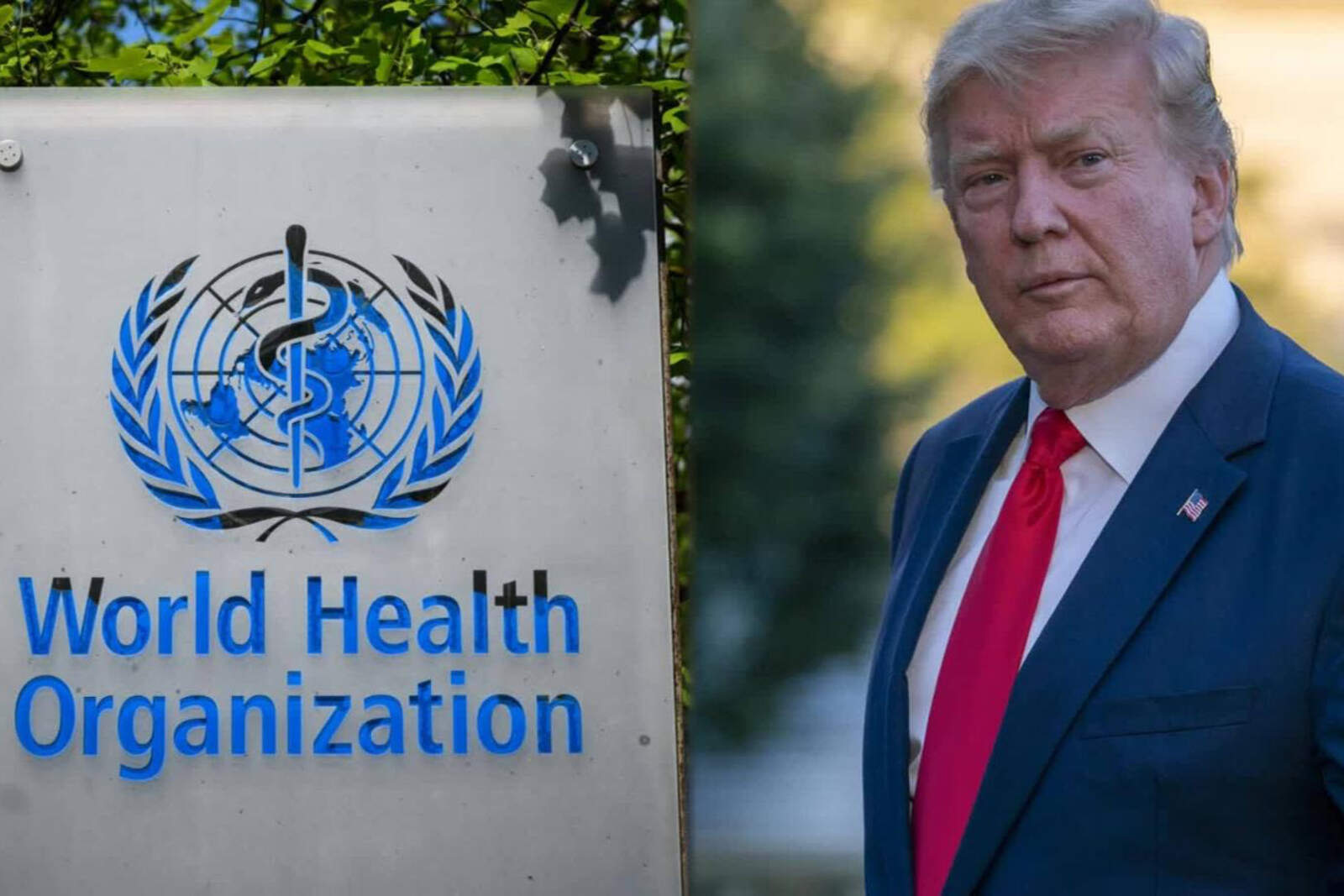 Promesa cumplida: Trump retiró oficialmente a EEUU de la OMS por sus vínculos con el régimen comunista chino