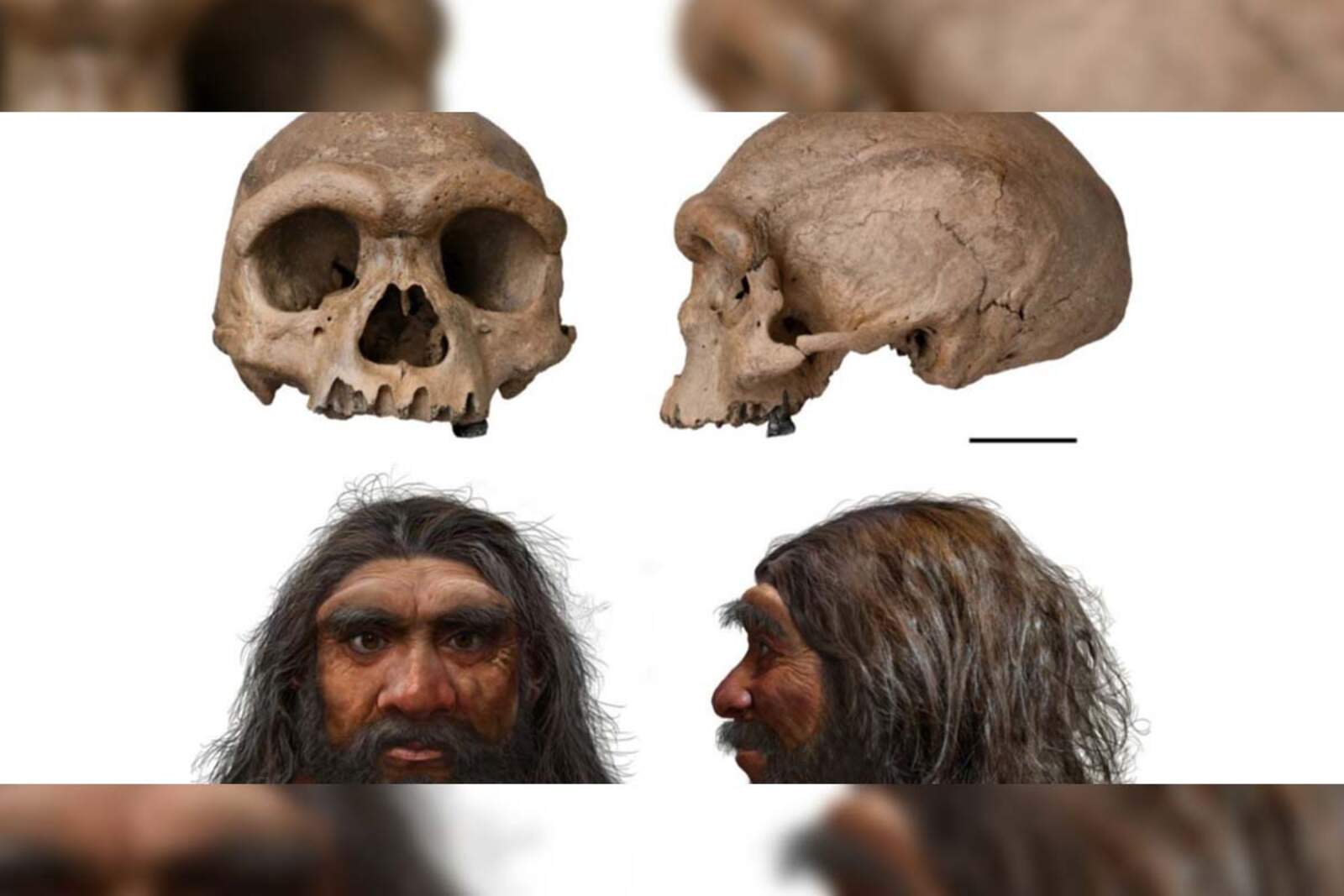 Un norte de China poblado por varios linajes humanos