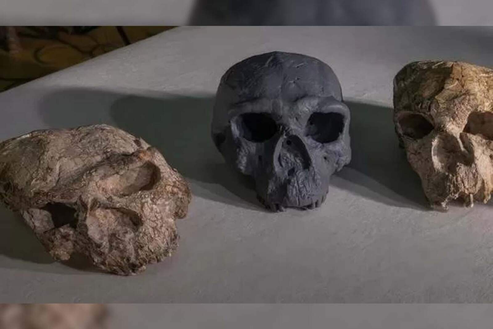 El hallazgo suma nuevas preguntas