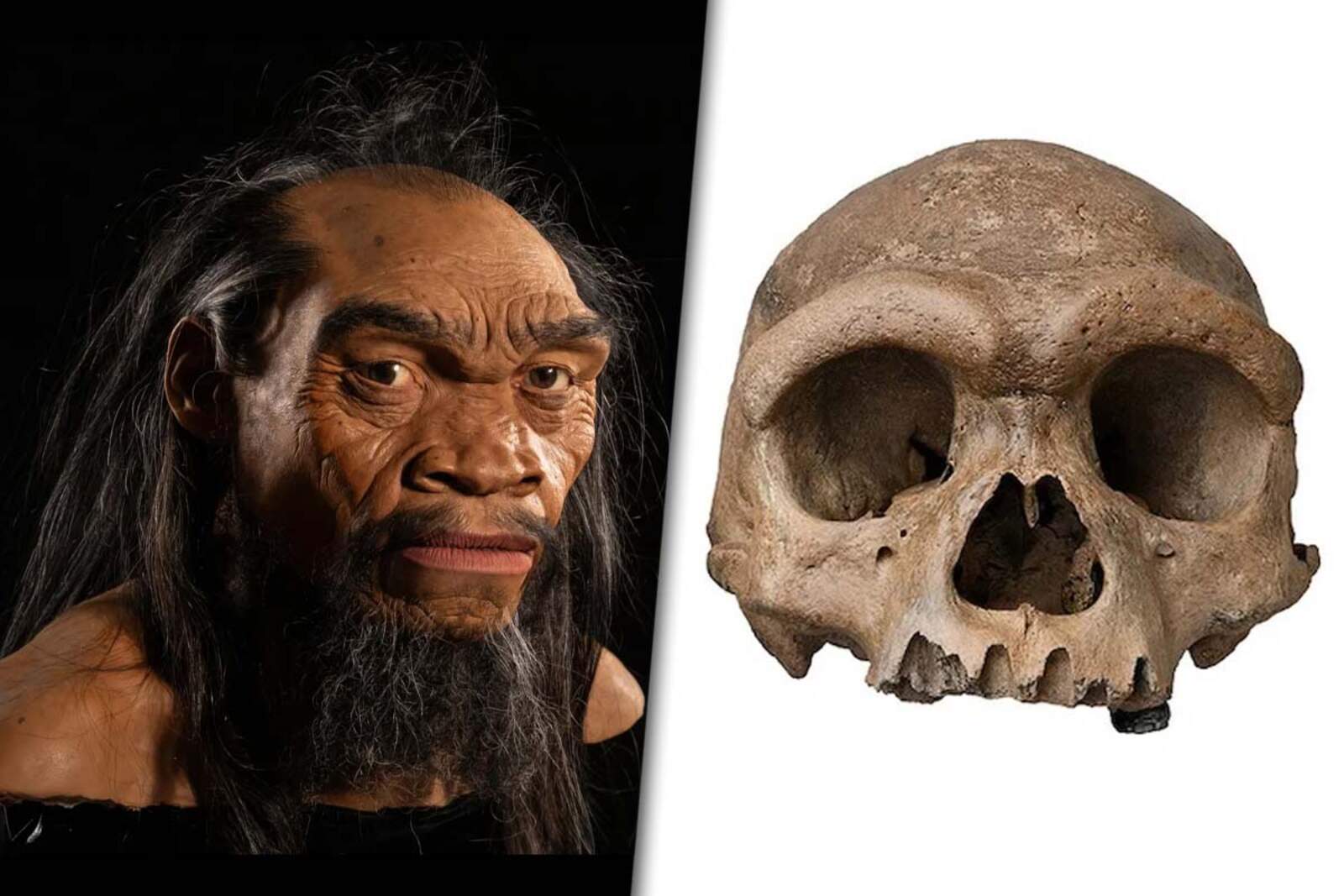 El hallazgo de un fósil de 150.000 años revive el misterio del 'hombre dragón'