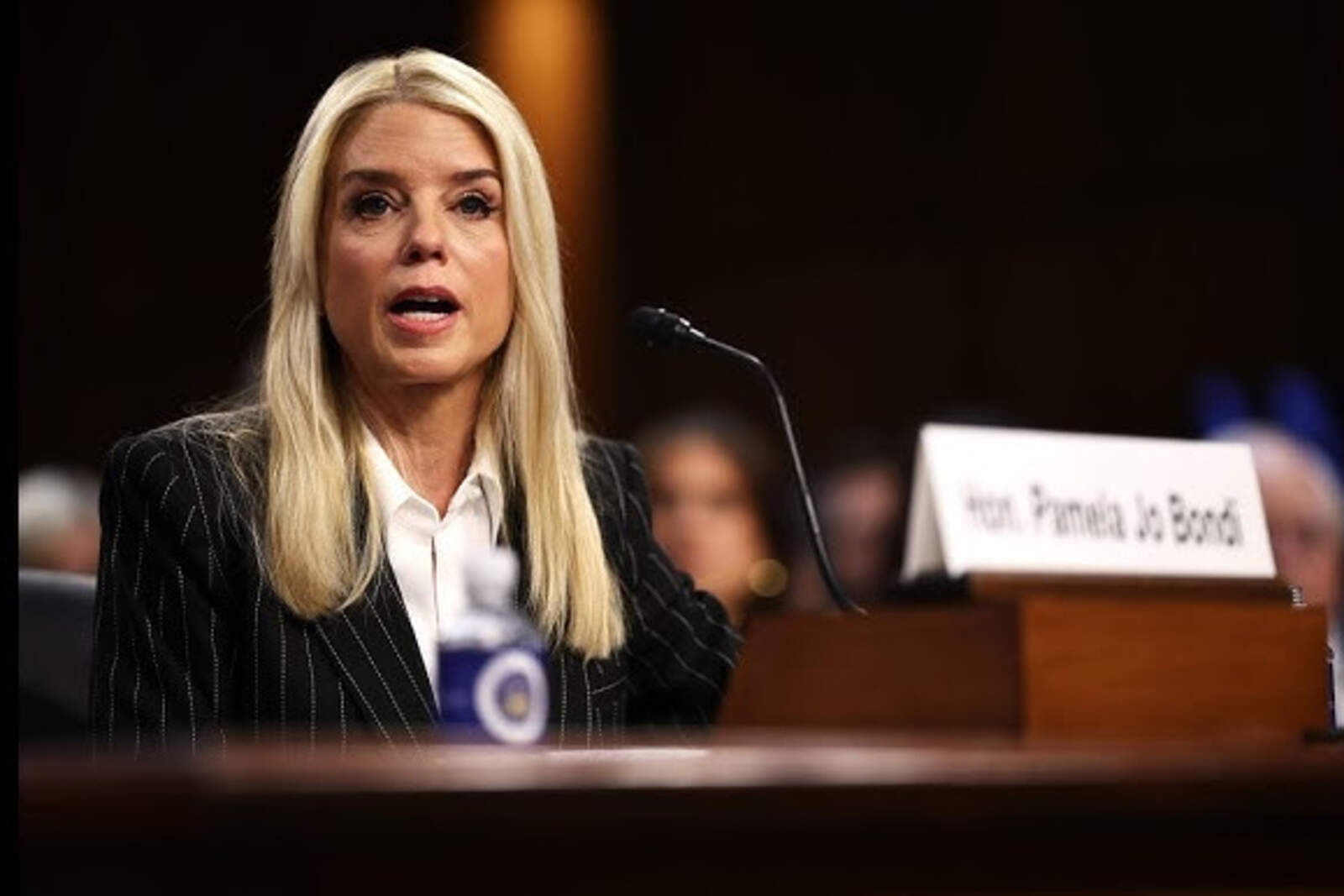 Pam Bondi destacó que los arrestos se llevaron a cabo en base a la incursión de un delito contra las fuerzas federales en Minnesota