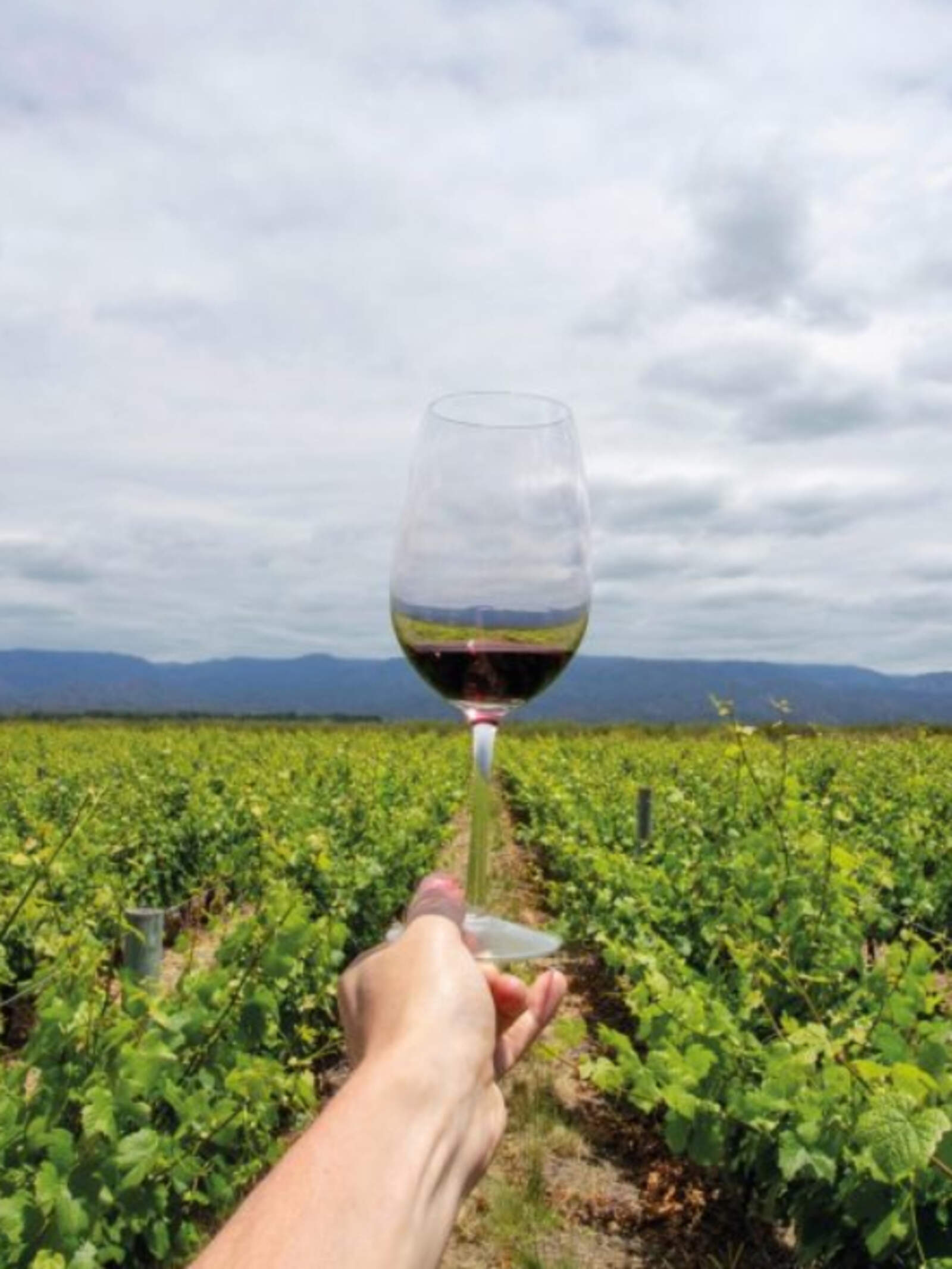 Mendoza se consolida como el destino nacional más competitivo para vacacionar este verano