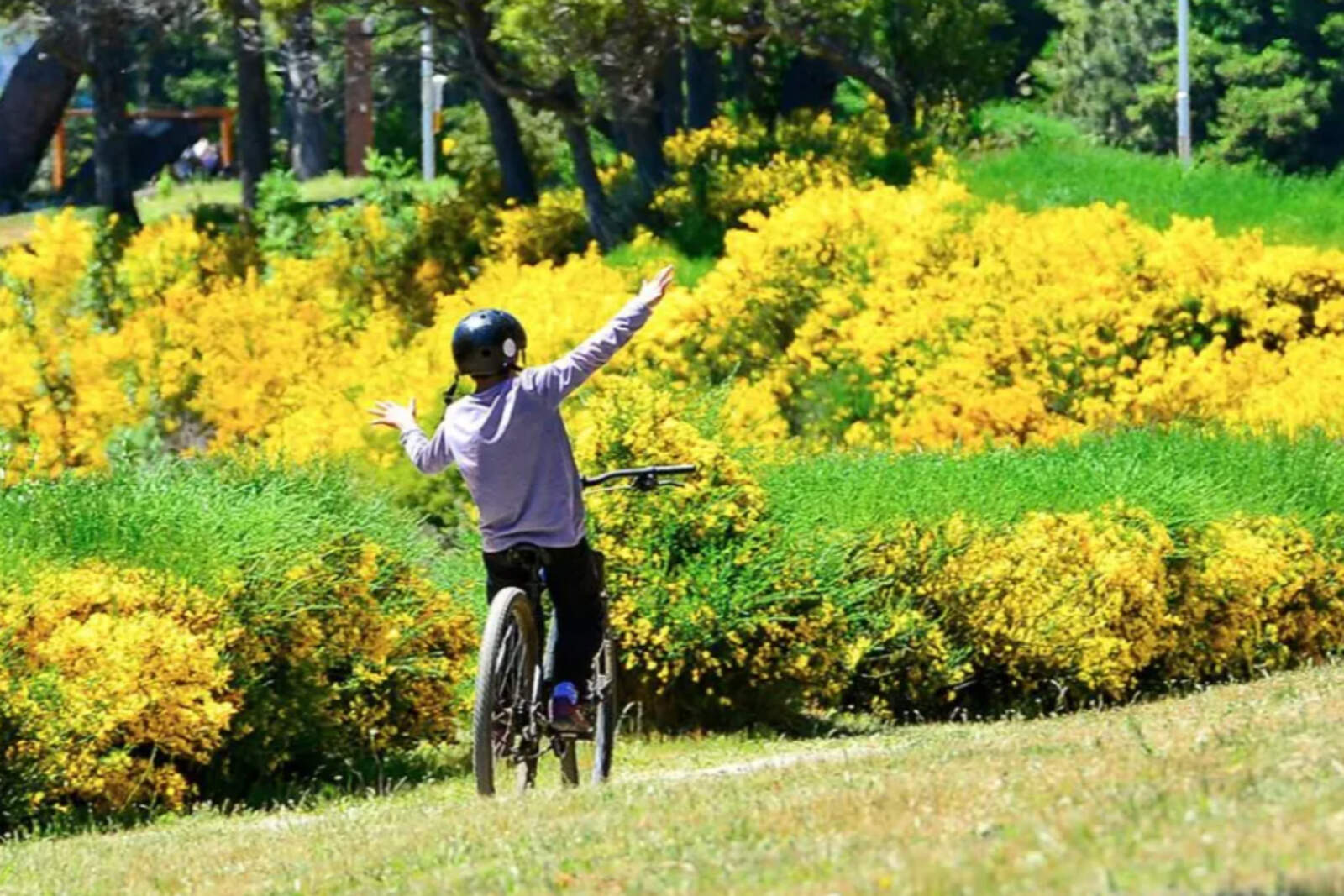 Villa Traful, el refugio natural que gana protagonismo en la Patagonia