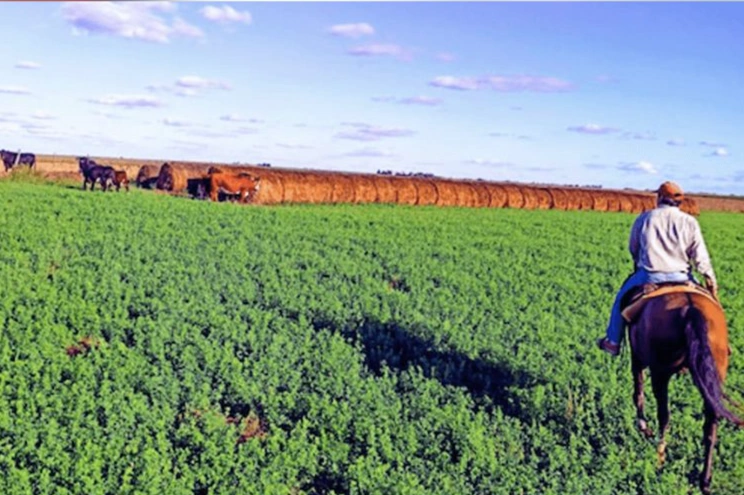 Córdoba: Buscan eliminar por ley las "aduanas internas" que asfixian al sector ganadero