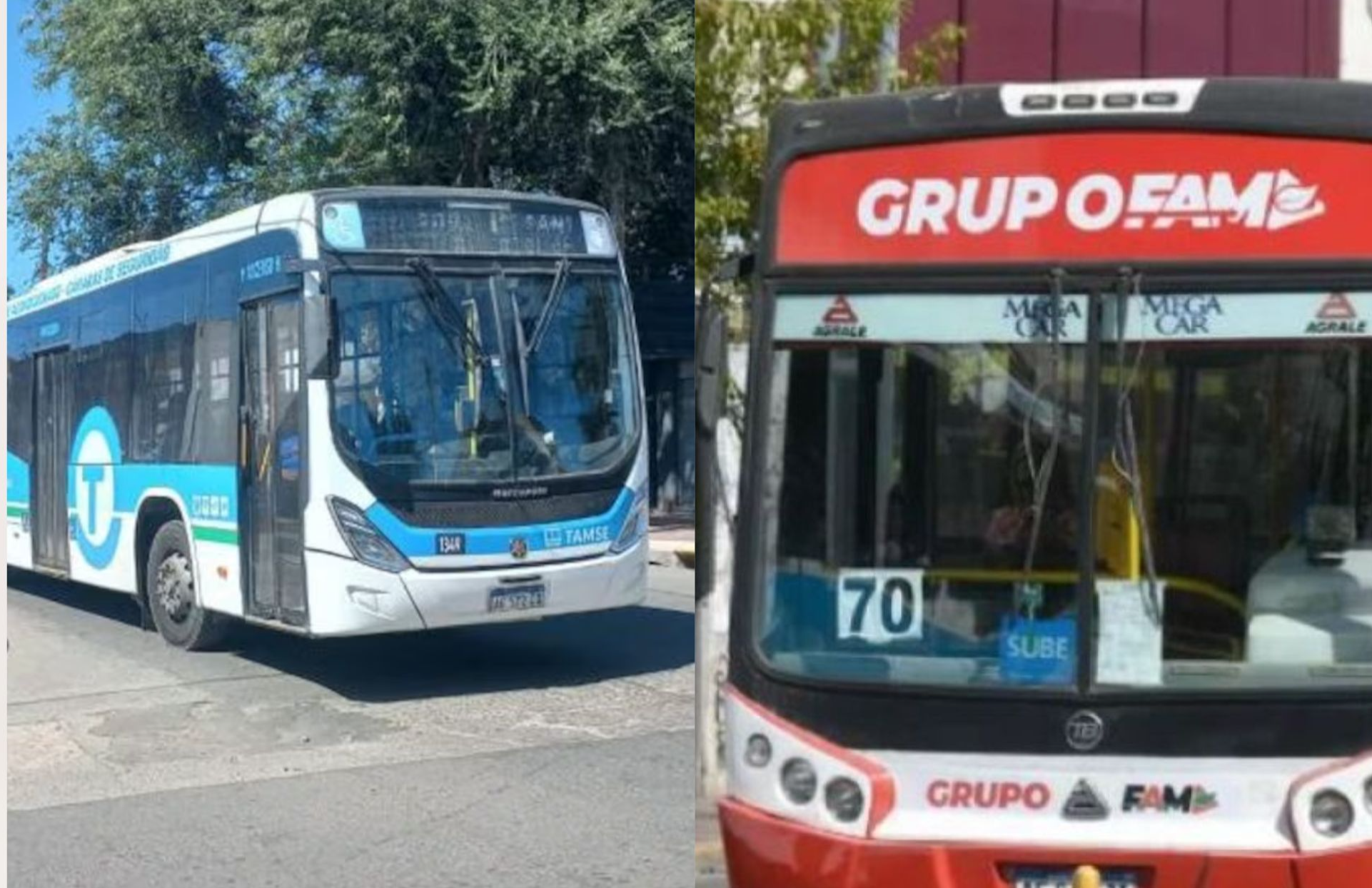 Para intentar mitigar el impacto de su propia impericia, el Palacio 6 de Julio sumó unidades de la estatal Tamsau al corredor 2.