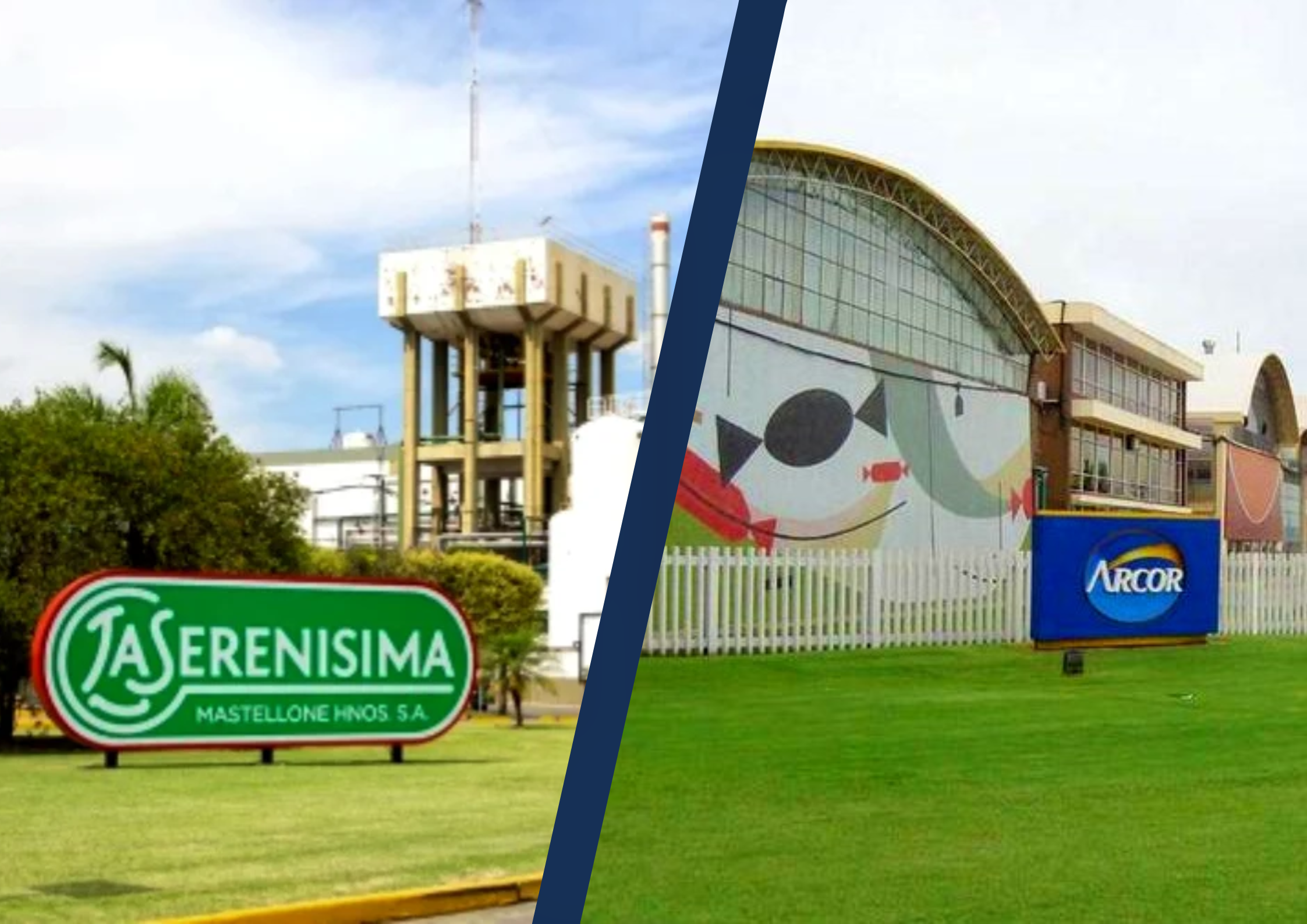 La firma de Arroyito y su socia francesa unificarán sus negocios para fortalecer la posición competitiva en un mercado que exige máxima eficiencia.