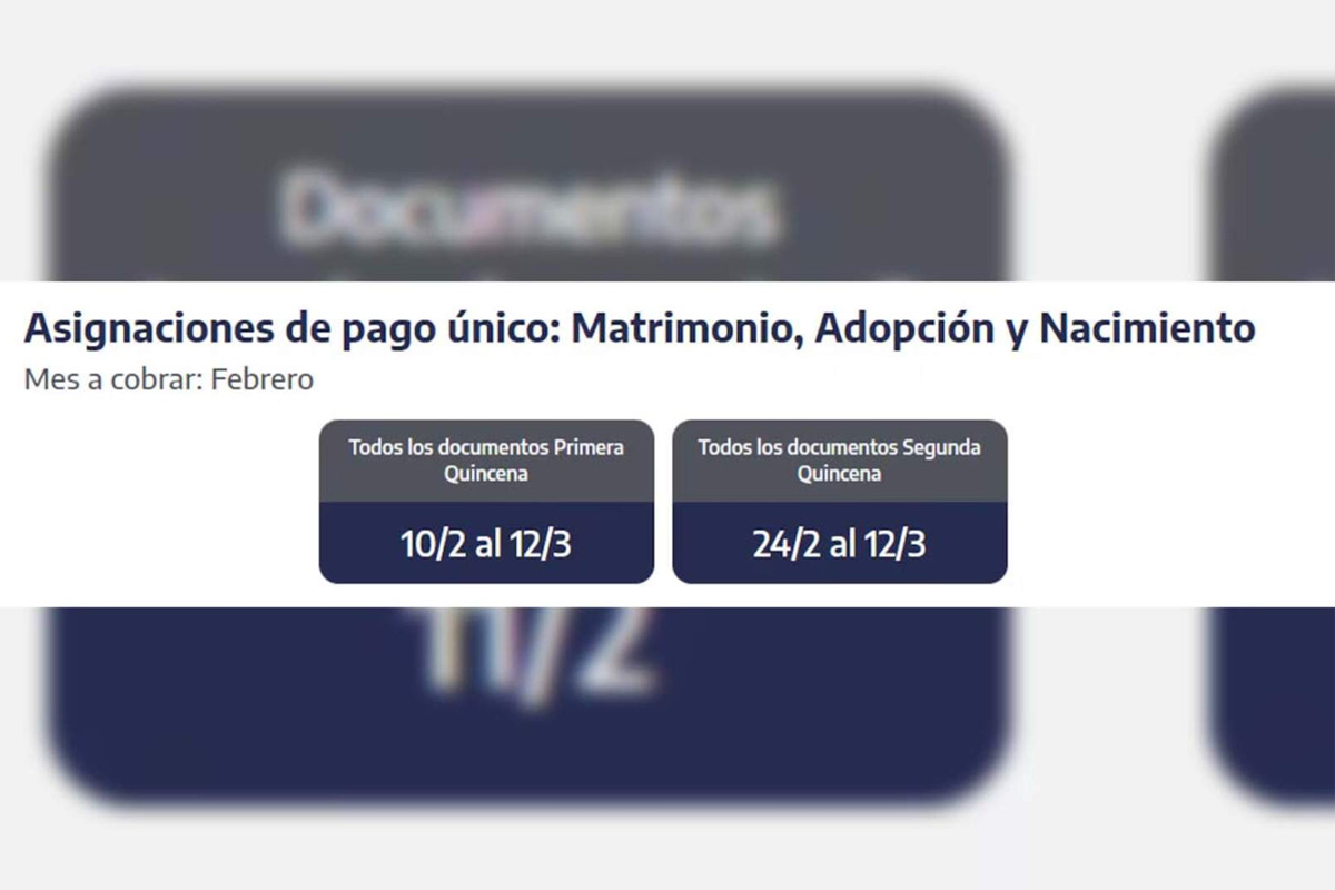 Asignaciones de pago único