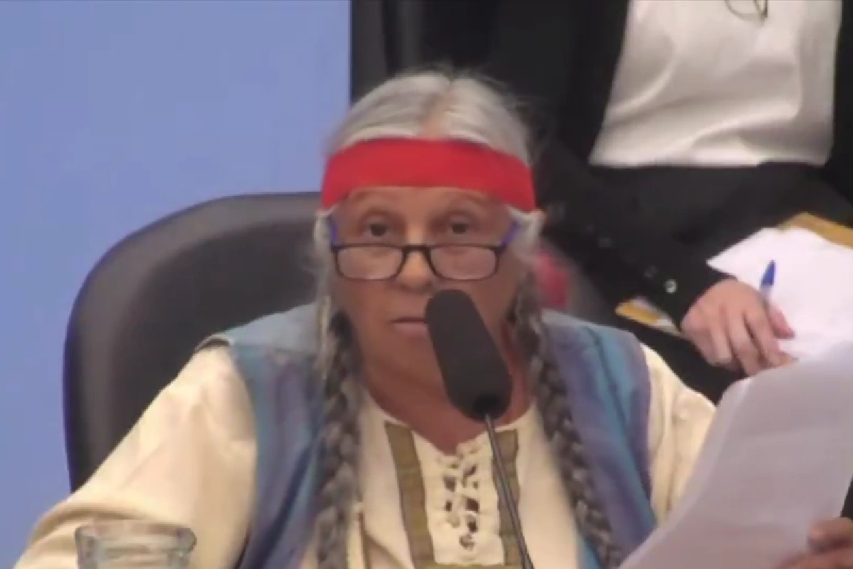 Papelón en la audiencia por la Ley de Glaciares: se rieron del discurso de una dirigente indígena financiada por Noruega