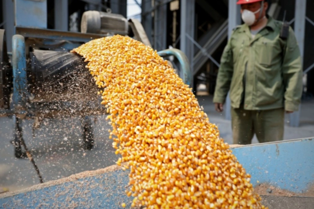 Una empresa china evalúa invertir 400 millones de dólares en el sector maicero de Córdoba