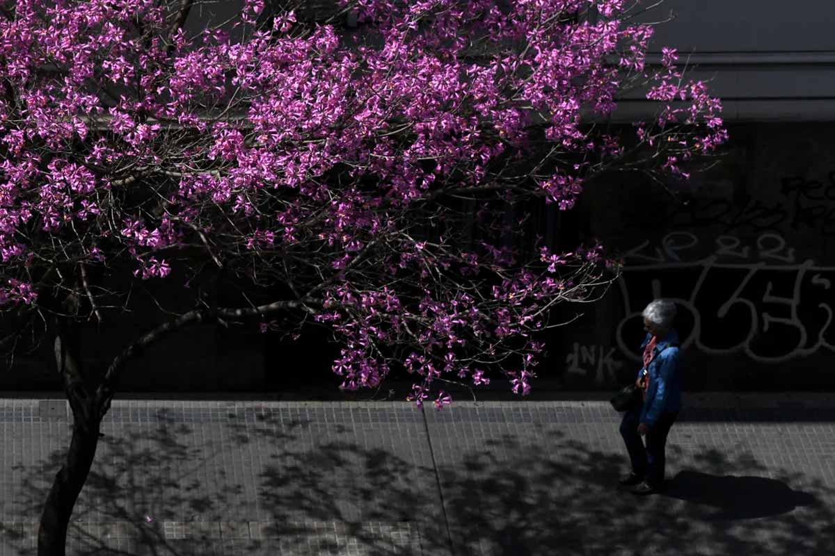 Jueves y viernes: continúan las jornadas agradables