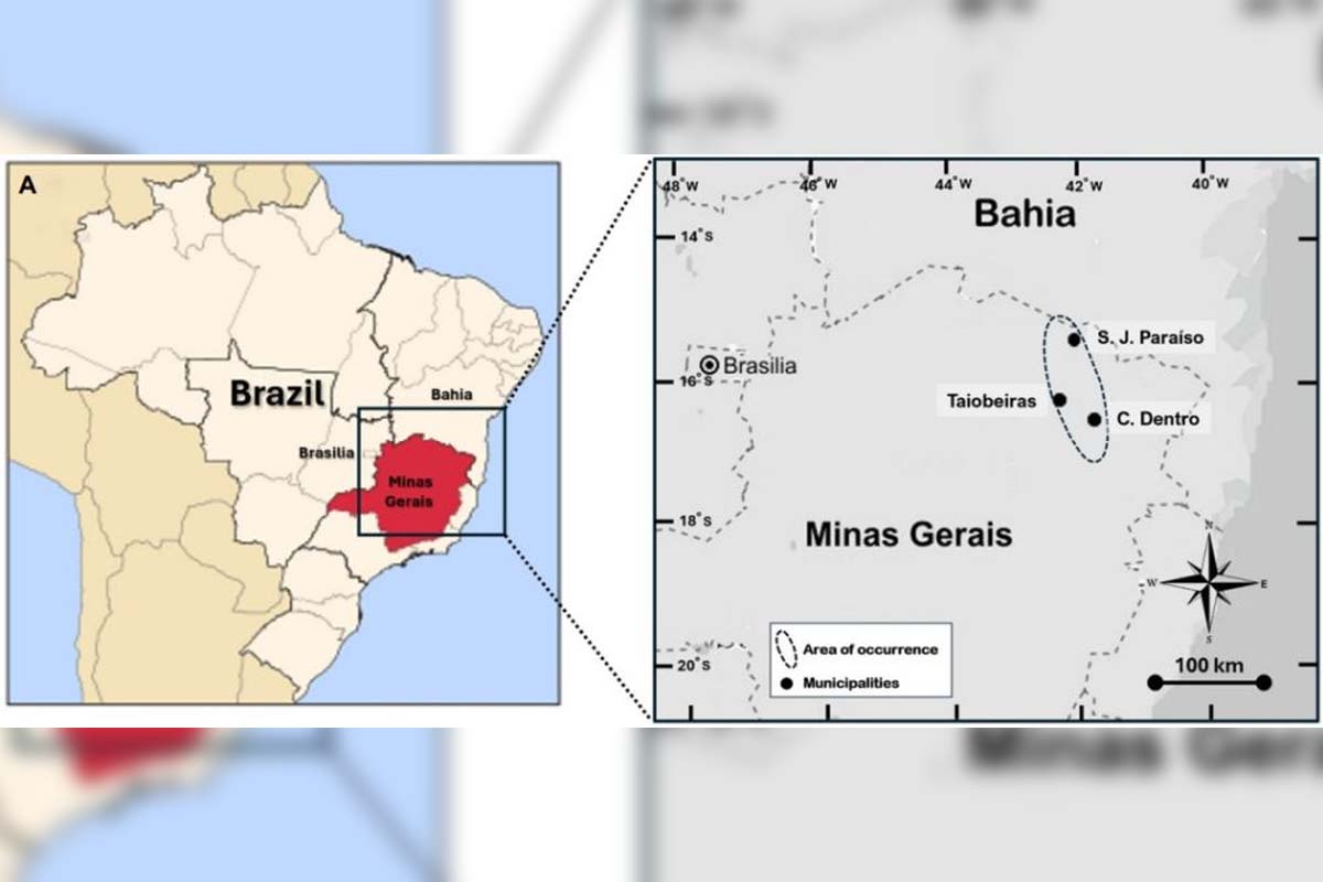 Los científicos bautizaron a estos fragmentos como “geraisitas”, en honor al estado de Minas Gerais