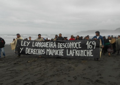 Noruega transfirió a través de una ONG más de 500 millones de dólares a comunidades indígenas en Chile para desincentivar la industria de las salmoneras