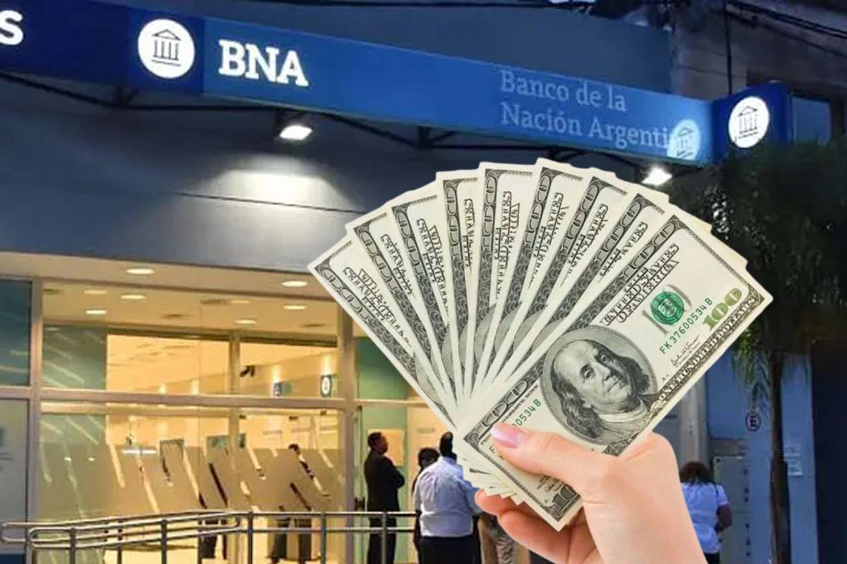 En qué banco rinde más el plazo fijo en dólares en Argentina