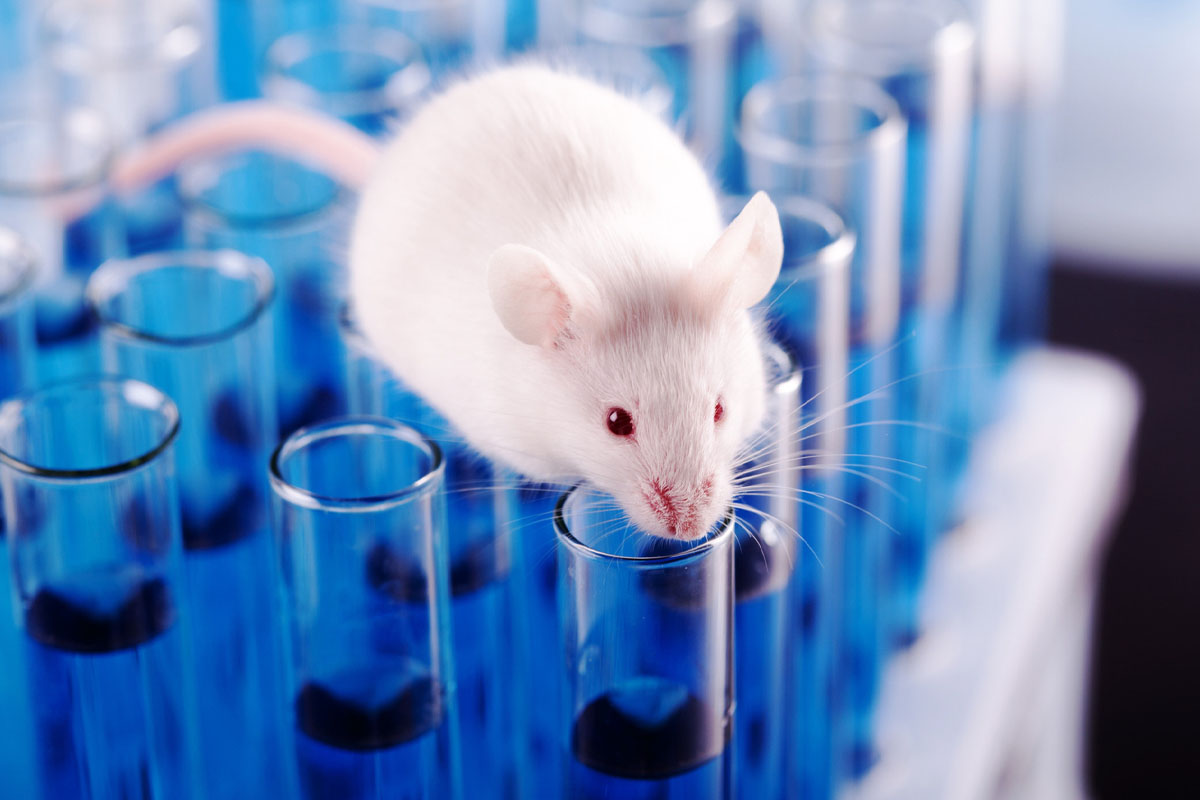 What brain functions were able to recover