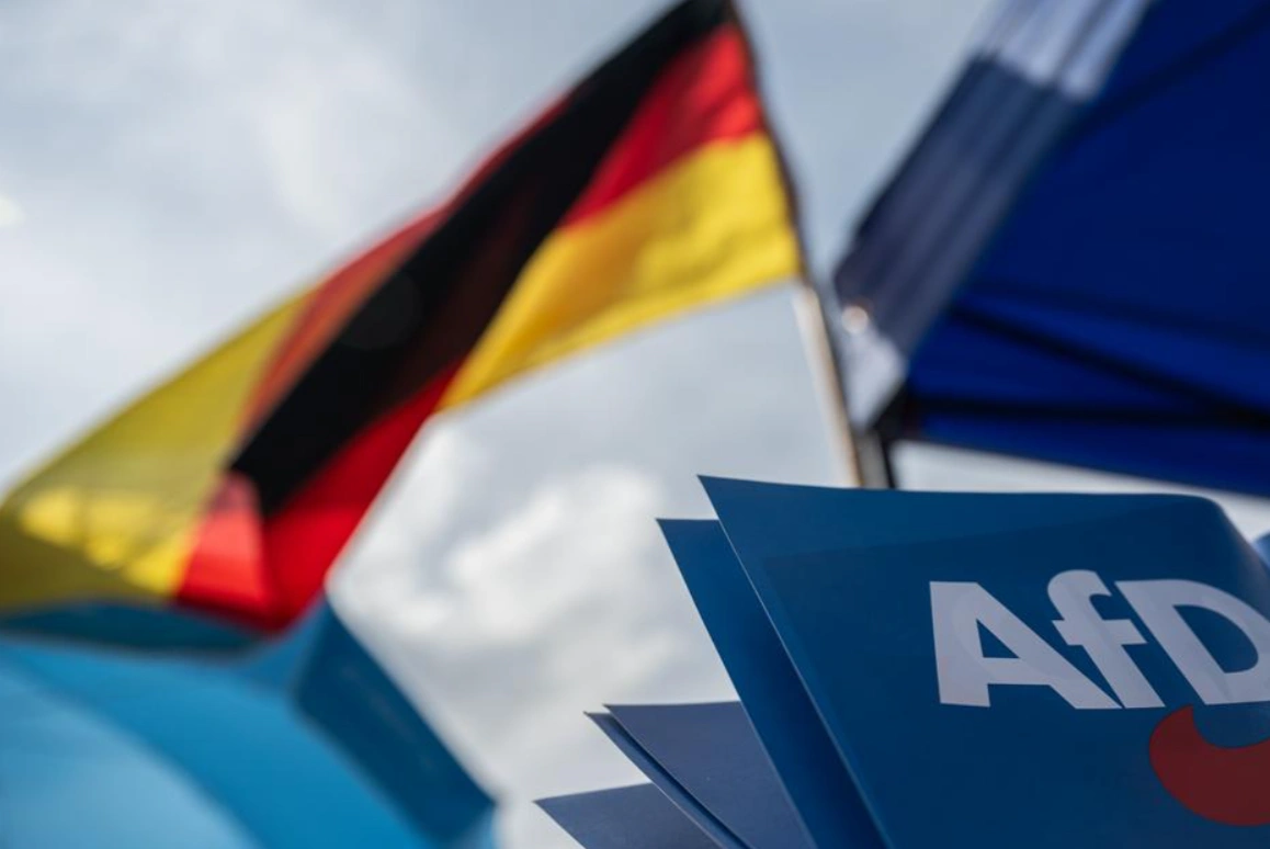 Germany tried to label the AfD as “extremist”: the courts and the people responded