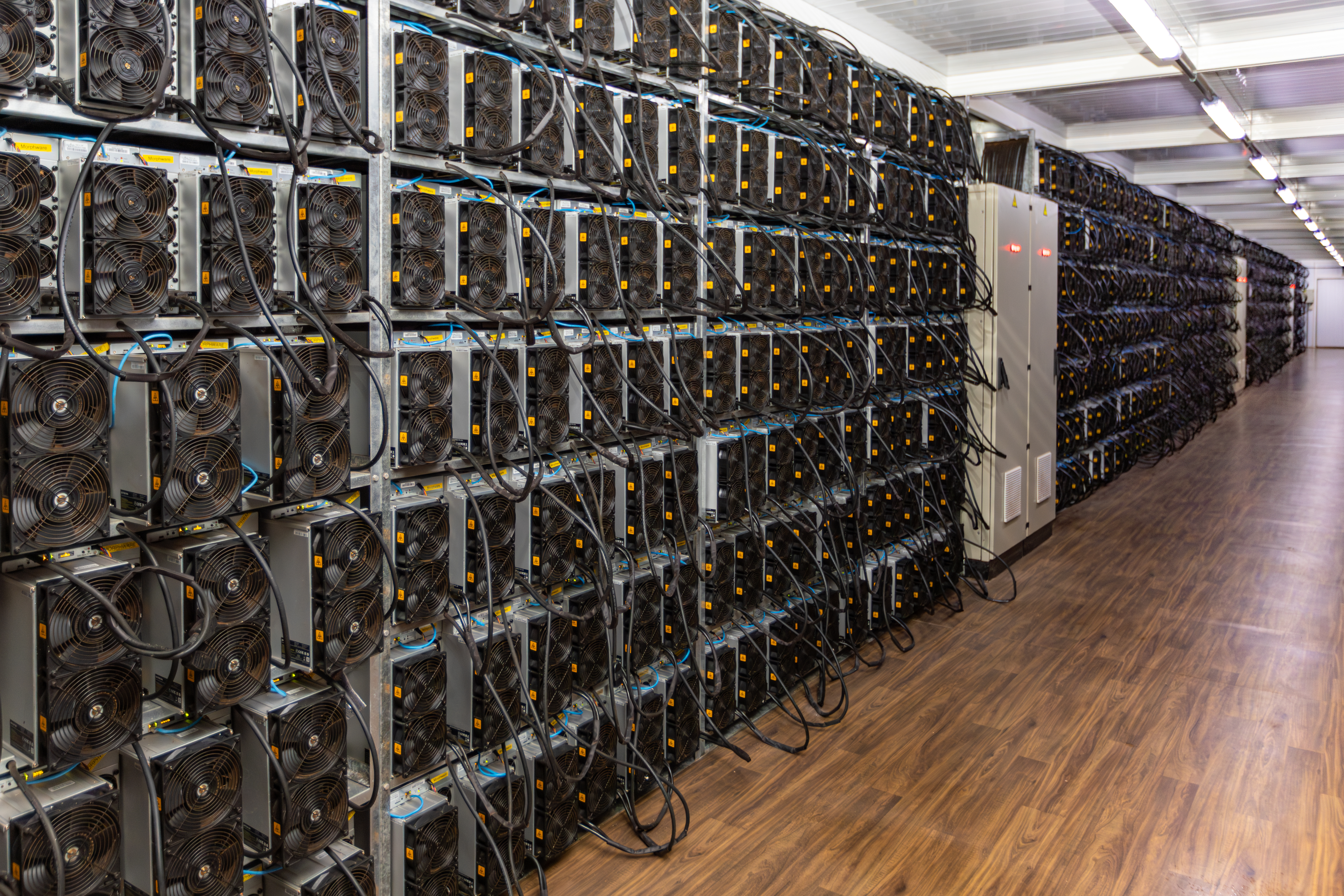 La empresa privada Morphware sería la elegida para encarar el proyecto bajo supervisión estatal.