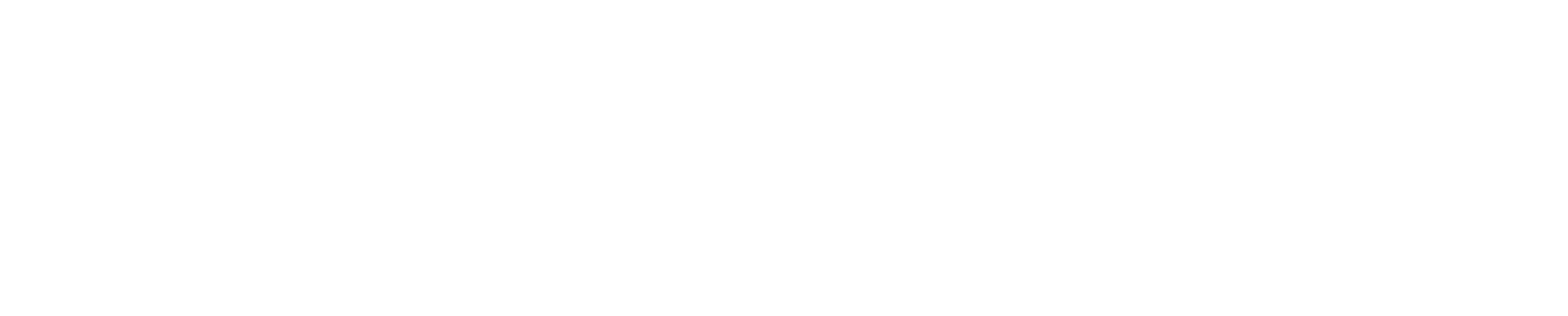 La Derecha Diario logo