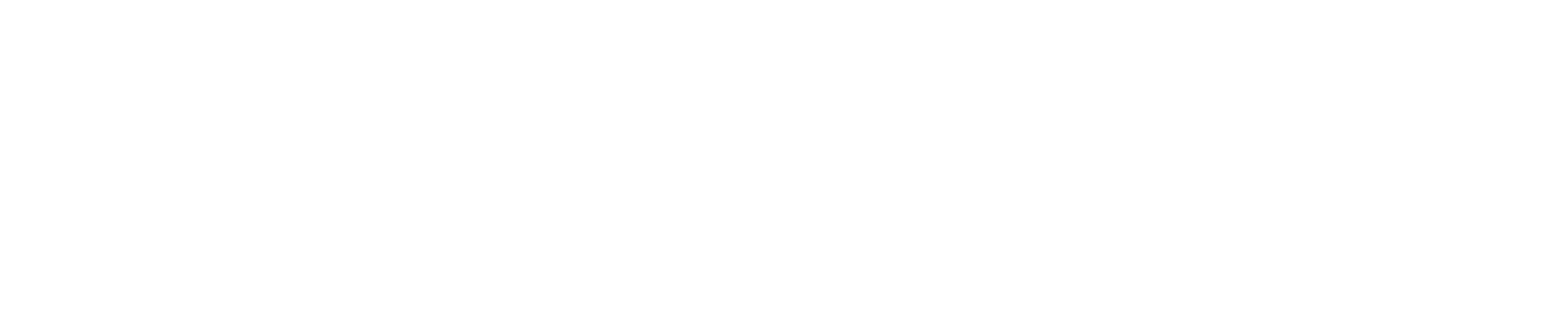 La Derecha Diario logo
