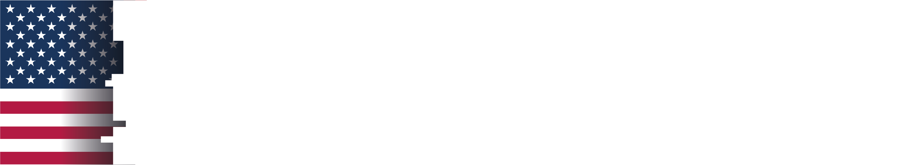 La Derecha Diario logo