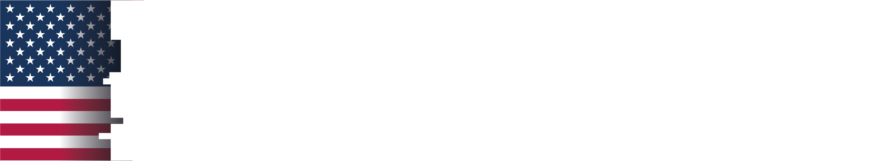 La Derecha Diario logo