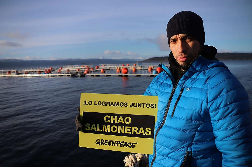 Greenpeace Argentina