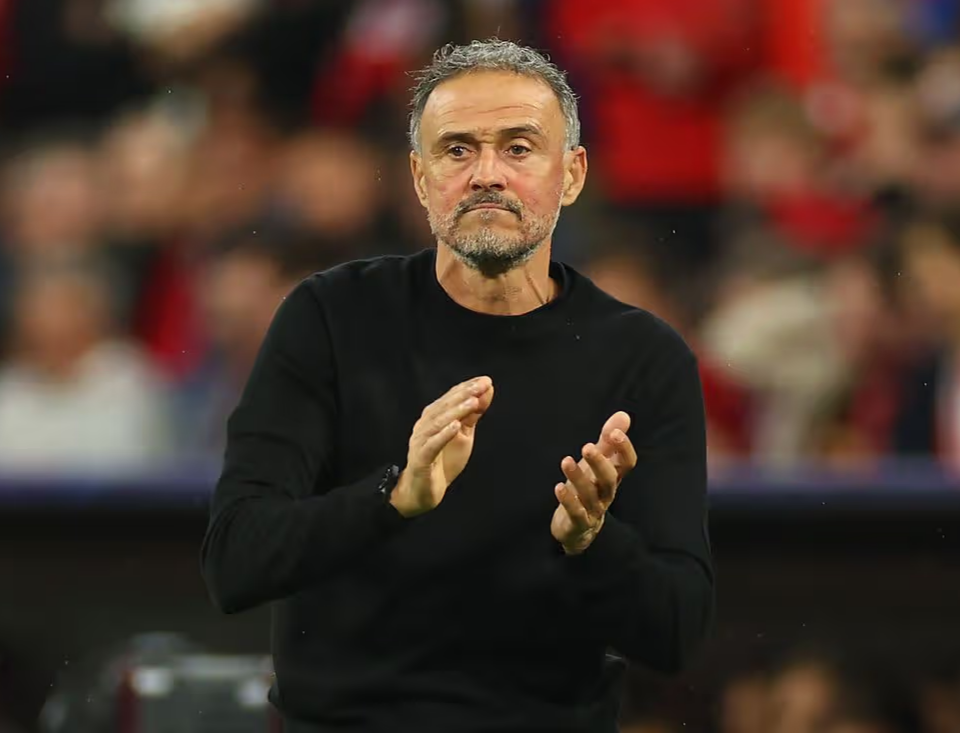 Luis Enrique estaría interesado en Julían Álvarez