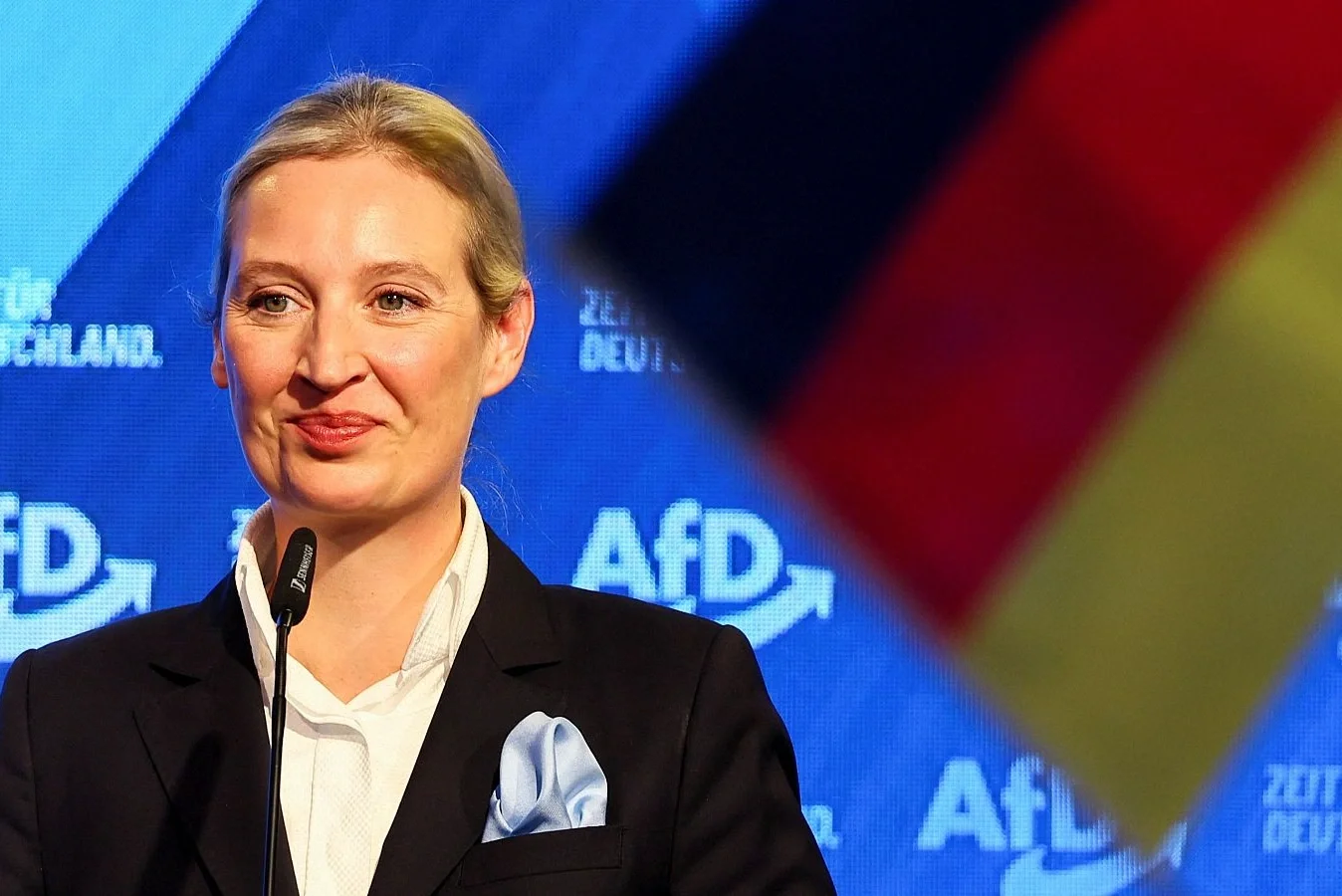 Crece el apoyo de parte de la comunidad LGBT al AfD en Alemania
