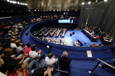 The Brazilian Senate