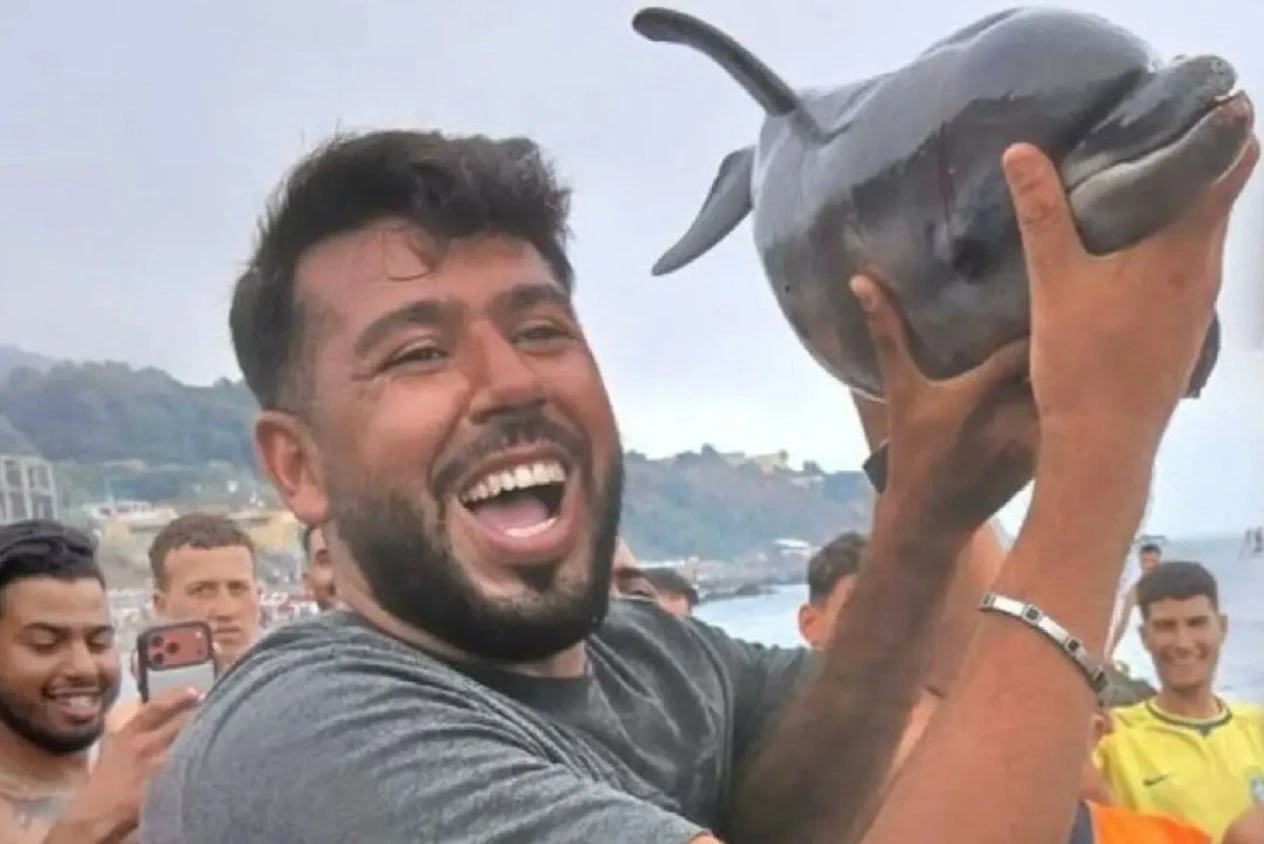 Illegal immigrants killed a dolphin calf in Ceuta