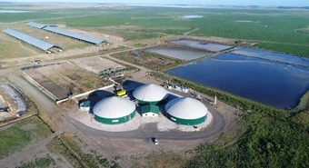 Usina Caarapó